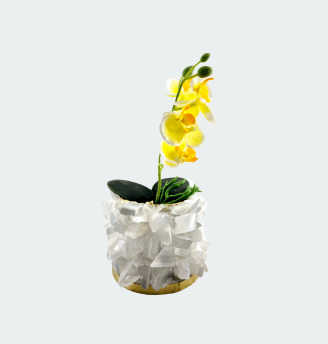 Selenite Planter