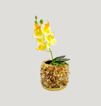 Citrine Planter