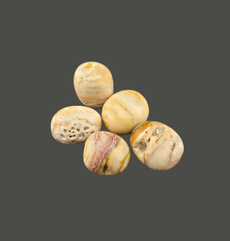 Fossil Coral Tumbles