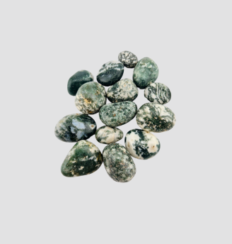 Tree Agate Tumbles