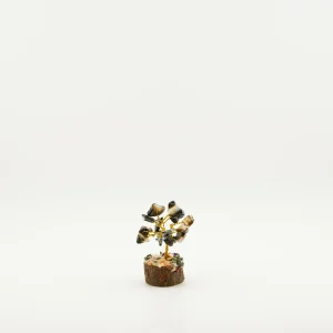 Black Sulaimani Tree 3 Inches