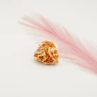 Dolomite 100 Grams