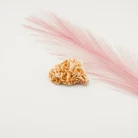 Dolomite 46 Grams