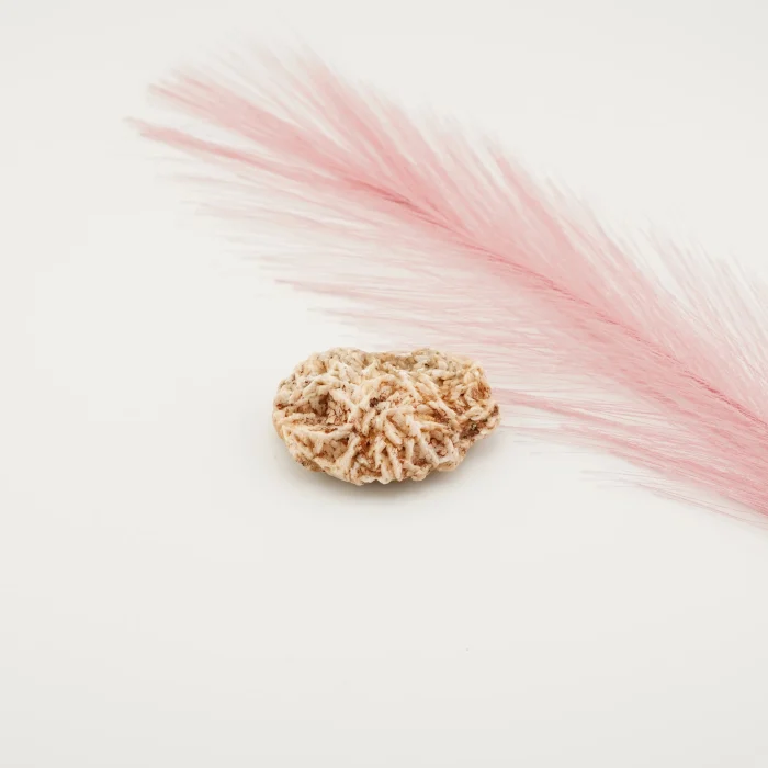 Dolomite 80 Grams