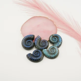 Labradorite Ammonite