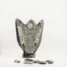 Orthoceras With Ammonite 2