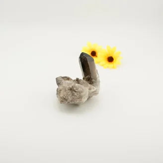 Smoky Quartz Cluster 231 Gramss