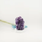 Amethyst Geode 855 Grams