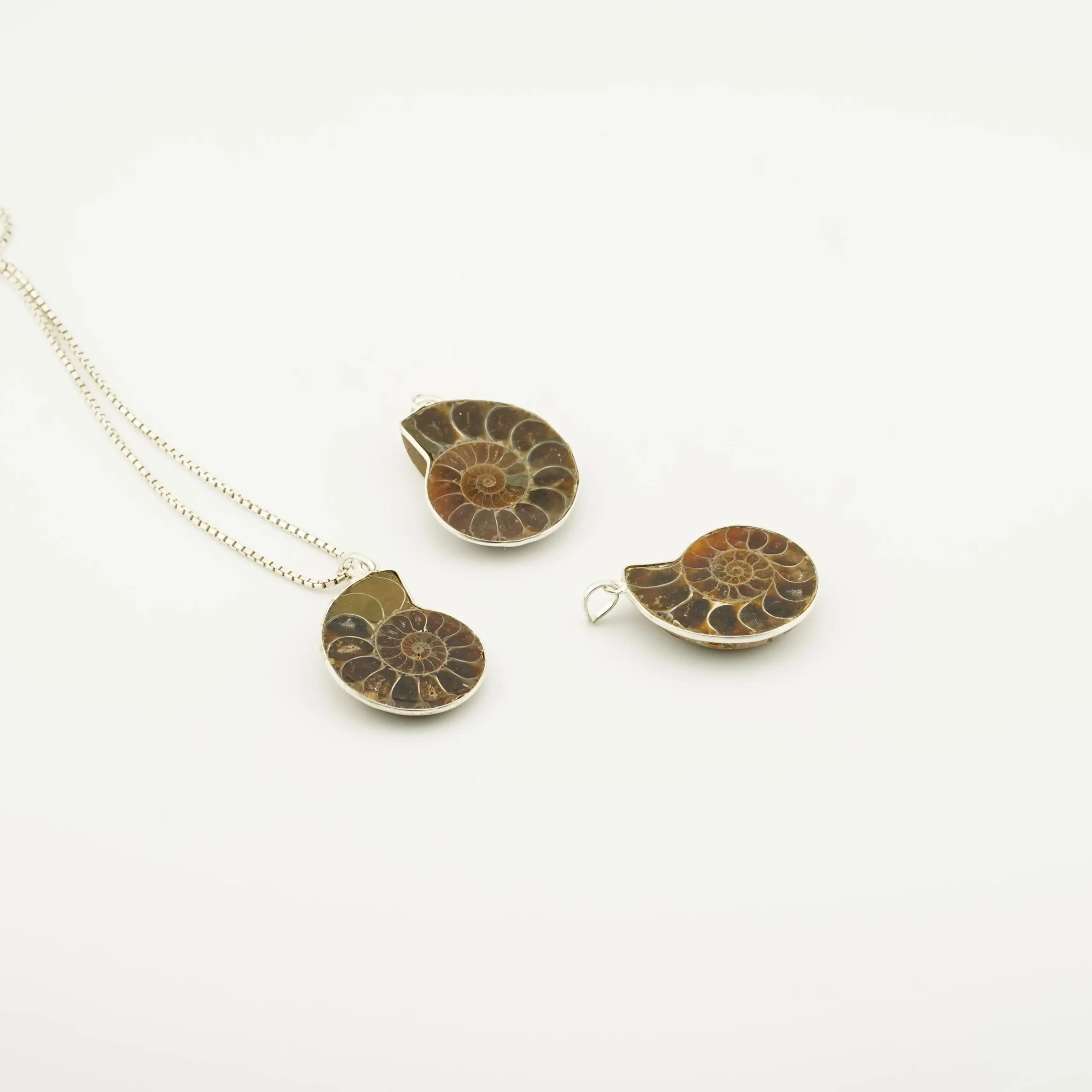 Ammonite Pendant Size - 35 MM - 40 MM
