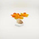 Citrine Cluster 65 Gramss