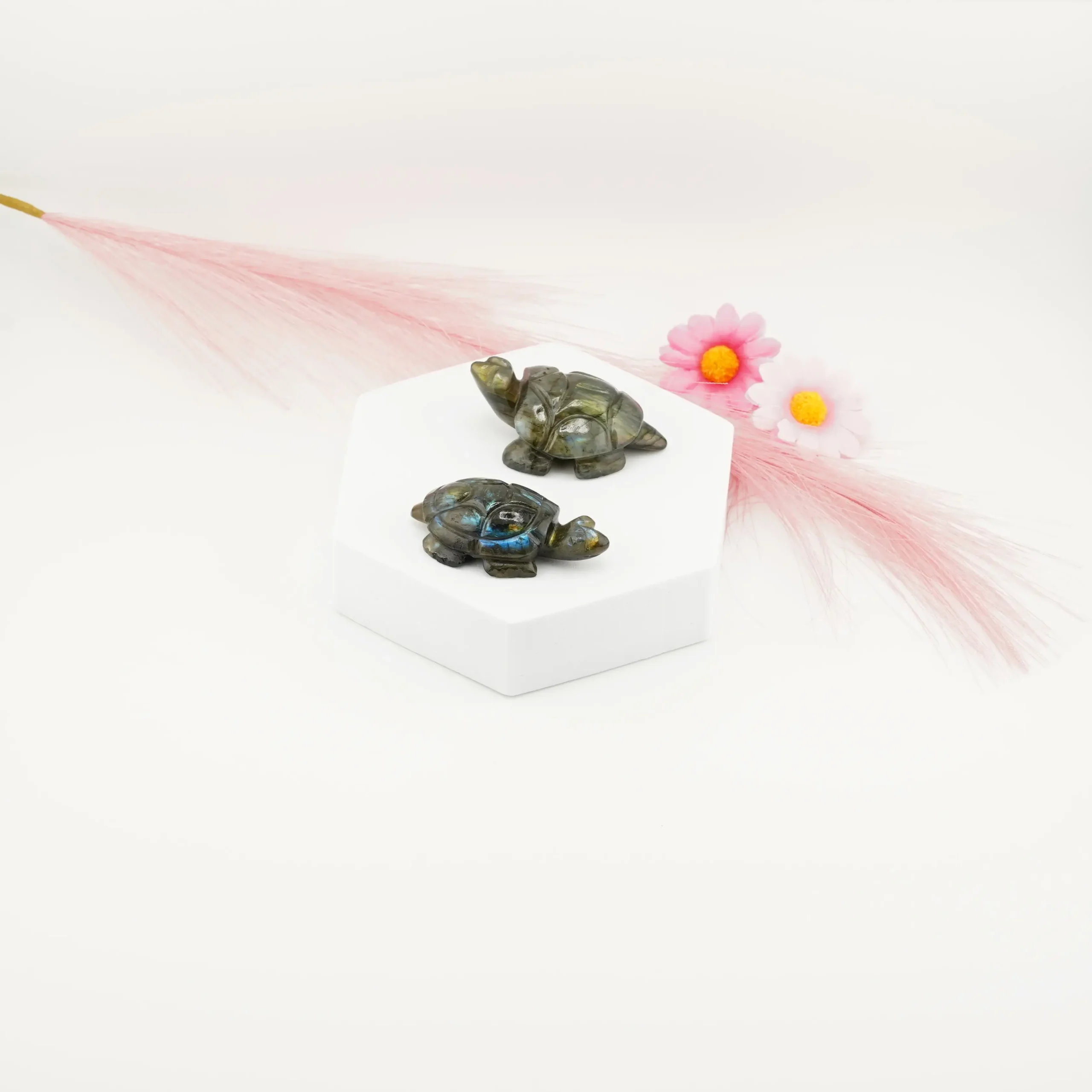 Labradorite Turtles