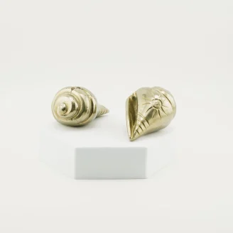 Pyrite Conch (Shankh) 190-213 Grams