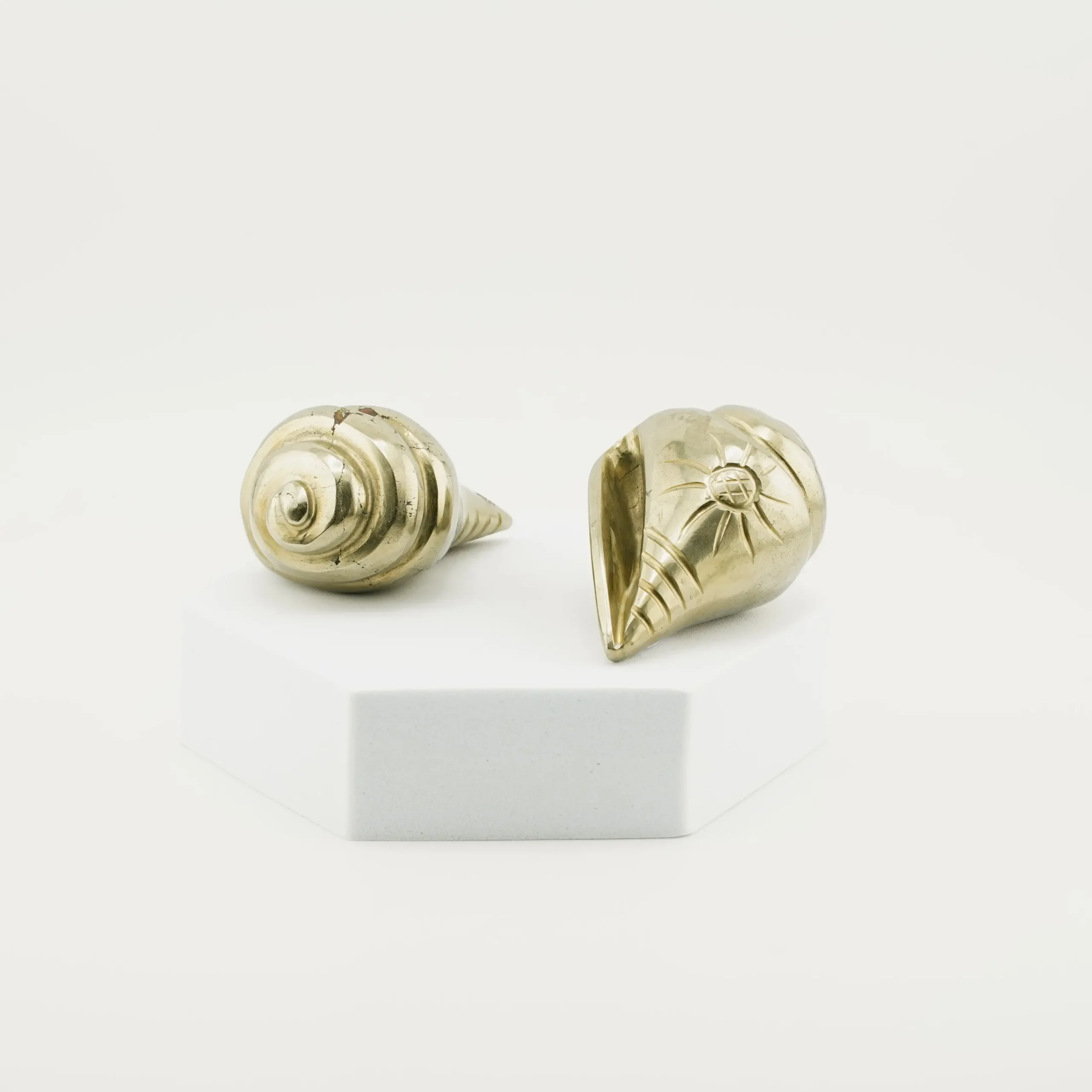 Pyrite Conch (Shankh) 190-213 Grams