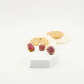 Watermelon Tourmaline Ring