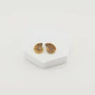Ammonite Pair Size - 1 Inch (A)