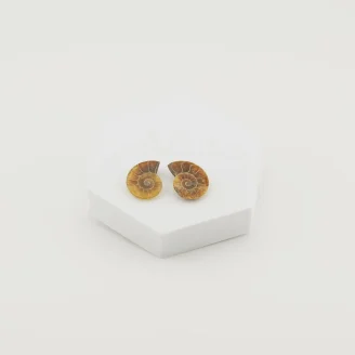 Ammonite Pair Size - 1 Inch (A)
