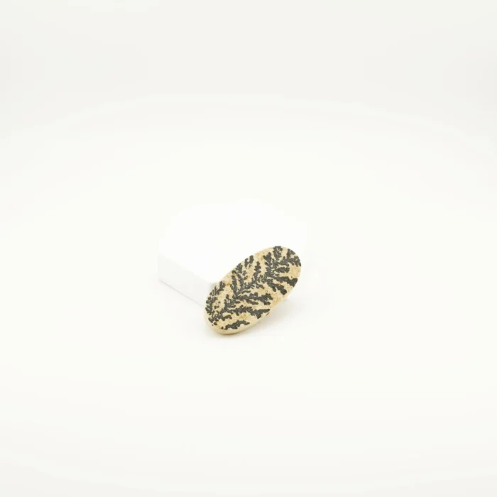 Dendritic Agate Cabochone 2.5 Inches