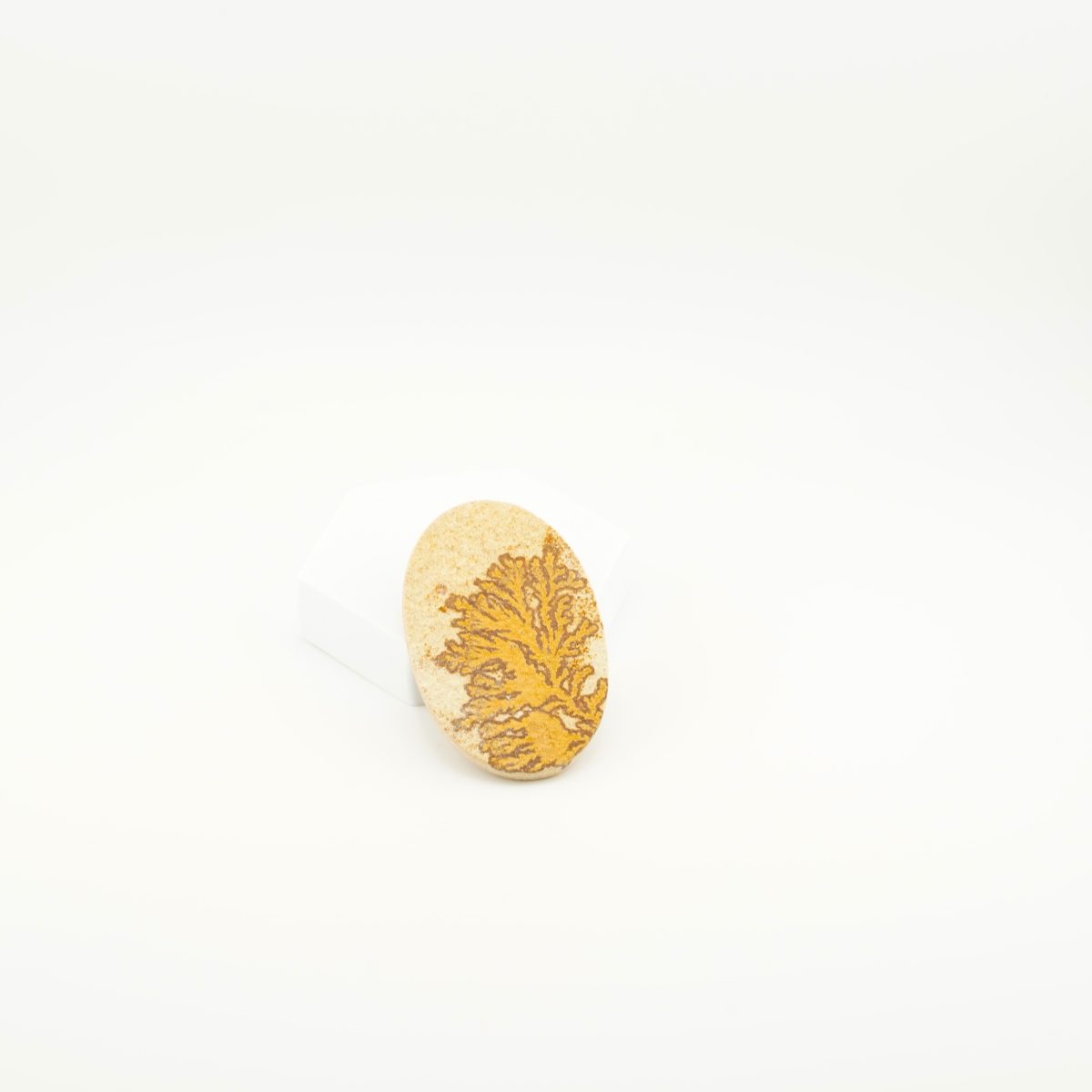 Dendritic Agate Cabochone 3 Inches