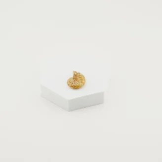 Golden Ammonite Fossil Size - 1 Inch