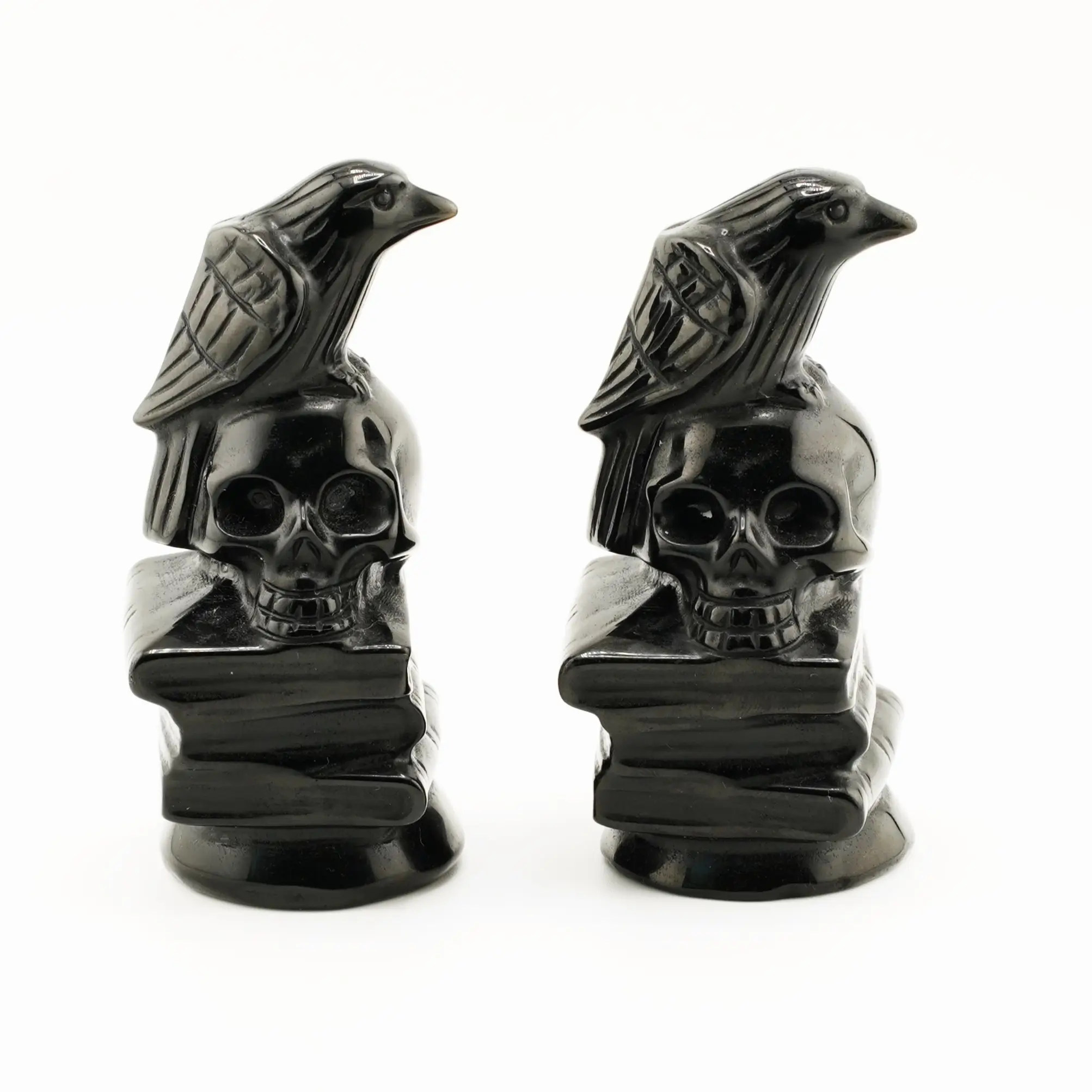 Skull With Book Raven