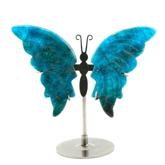Blue Apatite Butterfly Size 3 Inches (A)