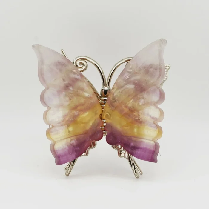 Multi Flourite Butterfly Size 3 Inches (B)