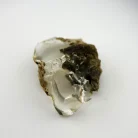 Ethiopian Opal 10 Carat