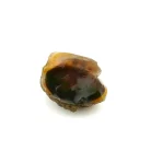 Ethiopian Opal 70 Carat(A)