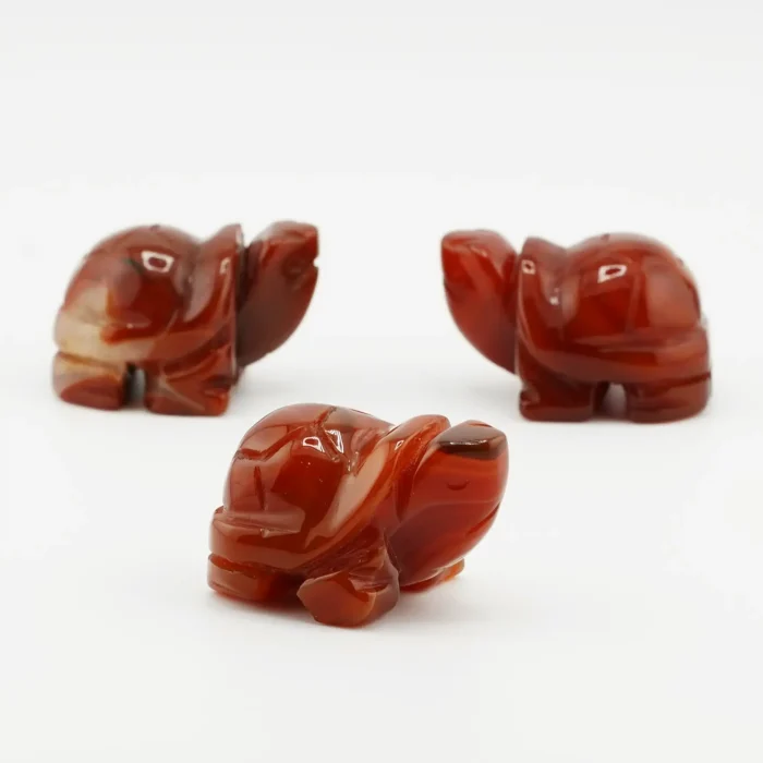 Carnelian Tortoise Size 1.5 Inches Carnelian Tortoise Size 1.5 Inches