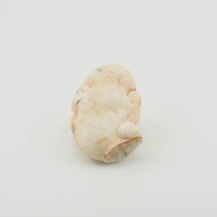 Flint Nodule Raw Weight 50 GM