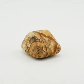 Picture Jasper Tumble Weight 65 GM.JPG