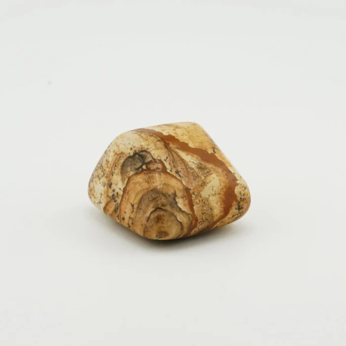 Picture Jasper Tumble Weight 65 GM.JPG