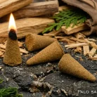 Palo Santo Incense Cone B